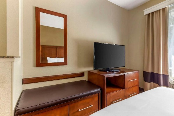 Comfort Suites Raleigh image 19