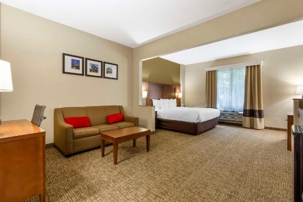 Comfort Suites Raleigh image 23