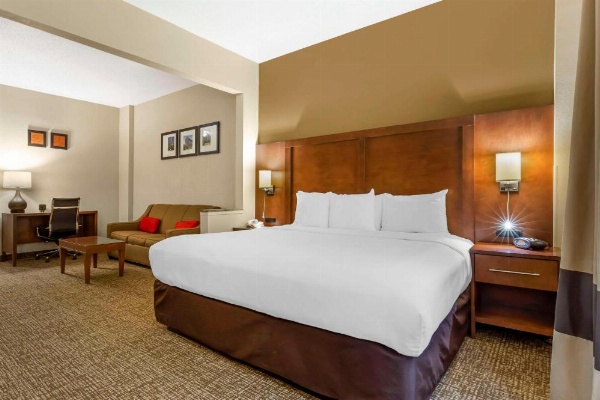 Comfort Suites Raleigh image 24
